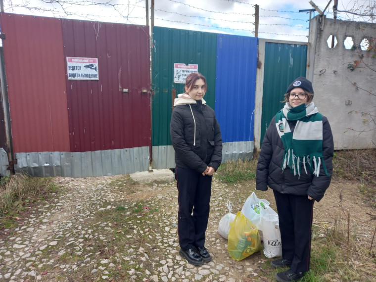 Помогли приюту "Верные друзья".